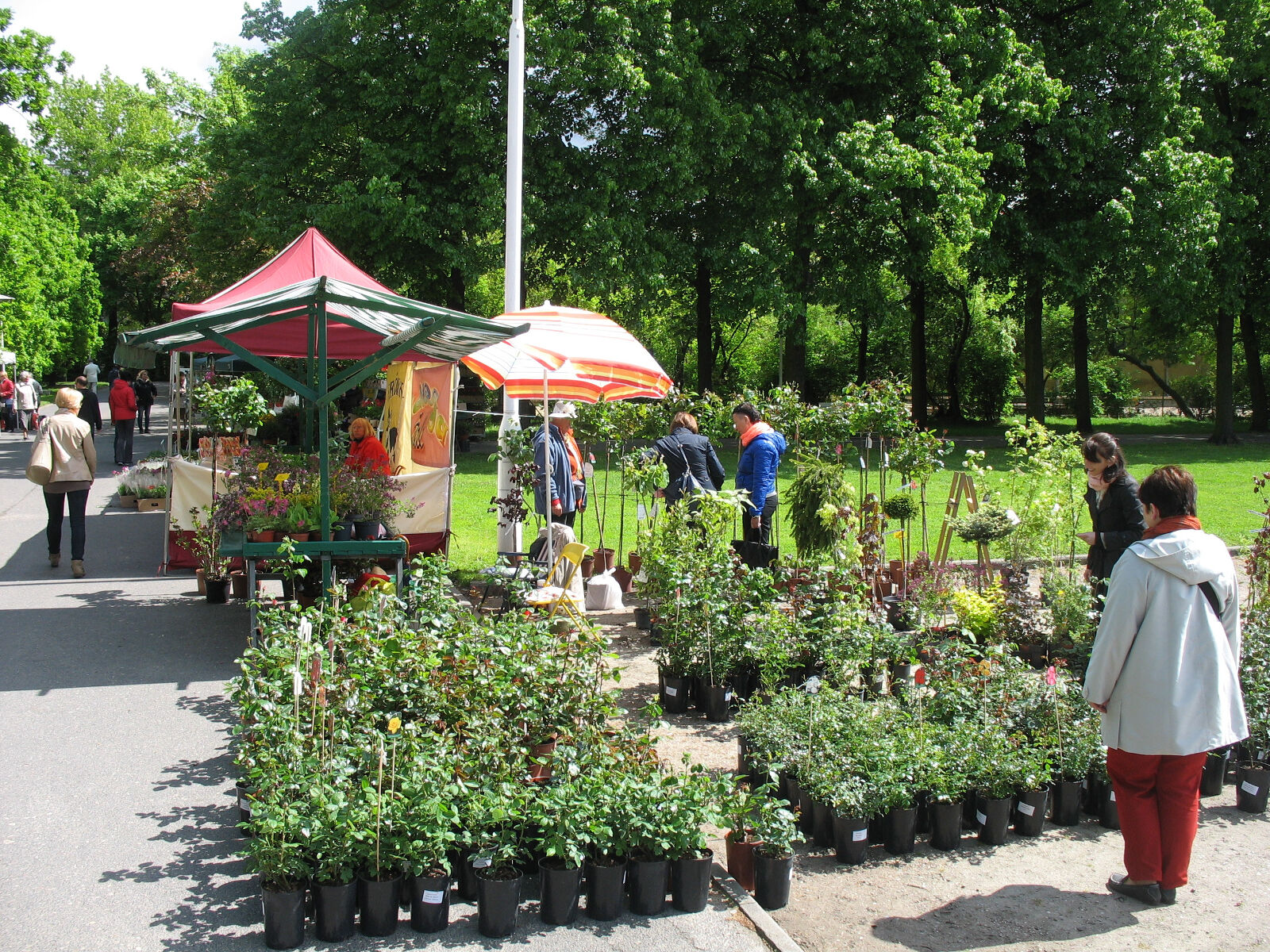 UMP 2014 - grafika artykułu