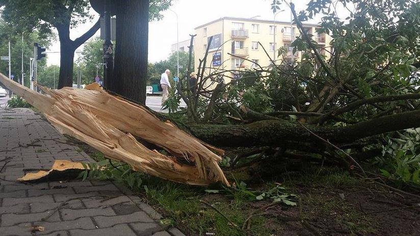 UMP 2015 - grafika artykułu