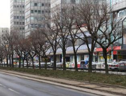 Otwarte spotkanie w sprawie przebudowy ulicy Święty Marcin