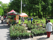 W weekend kiermasz "Zielony Poznań"