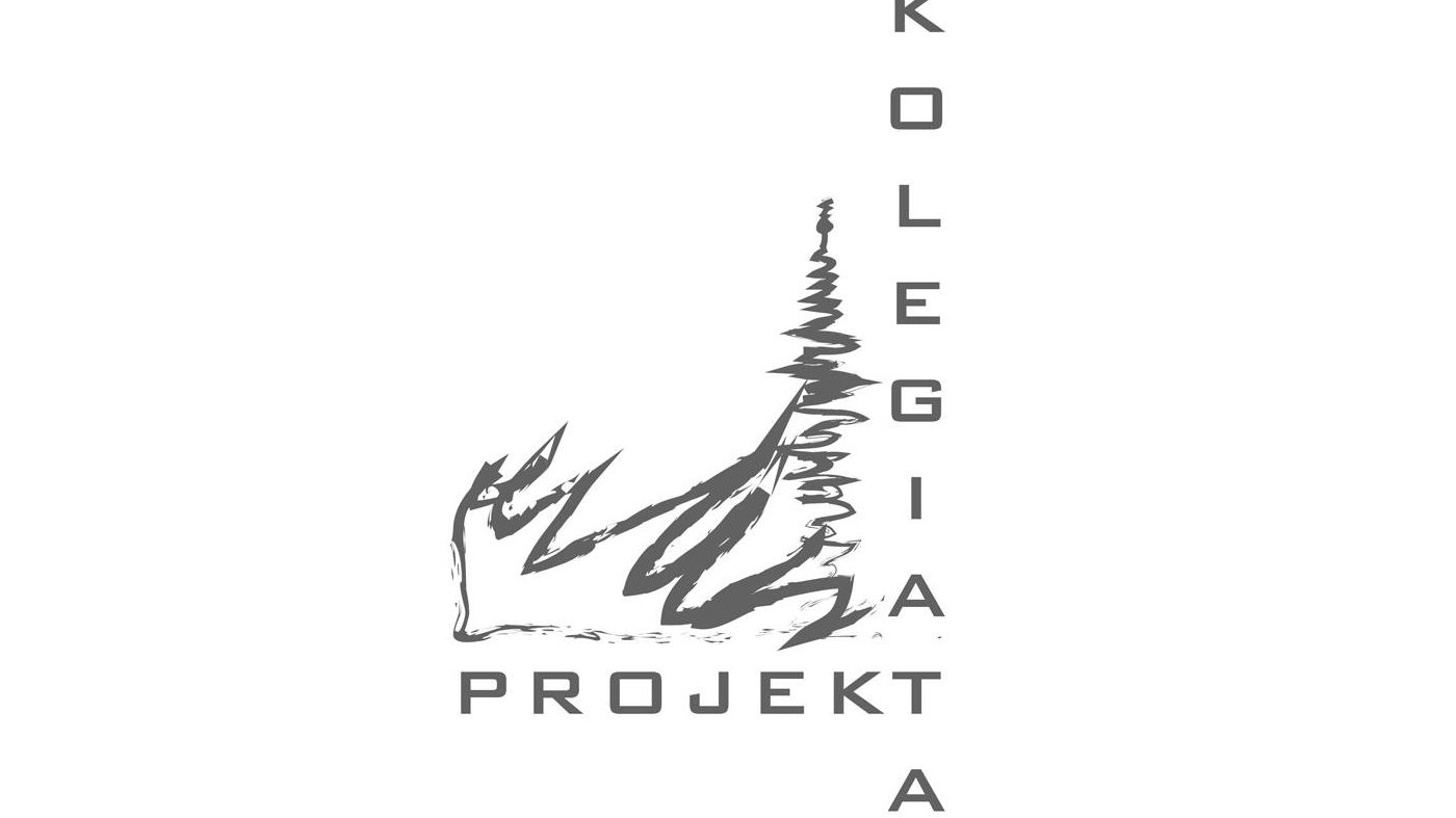Nowy Rynek z Kolegiatą w tle