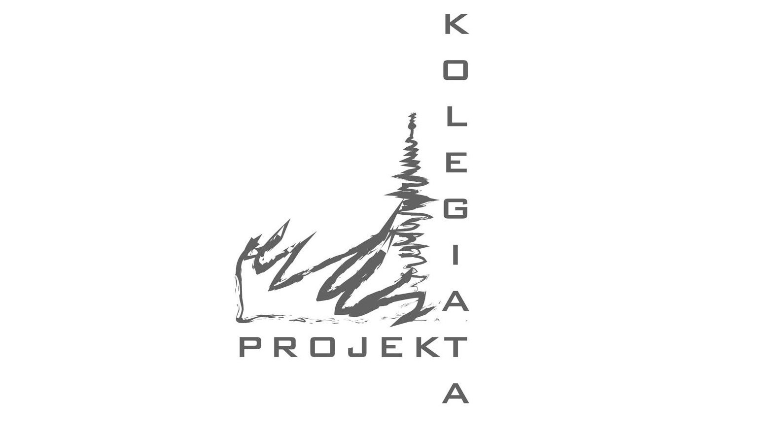 Projekt Kolegiata