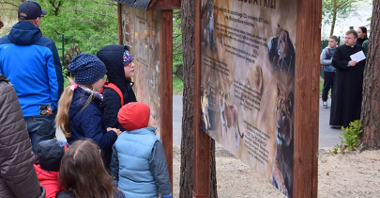 Dzięki PBO powstał m.in. azyl dla ocalonych zwierząt, w którym zamieszkały lwy Kizia i Leoś. W sobotę (27 kwietnia) odbyło się jego oficjalnie otwarcie/ fot. Zoo Poznań