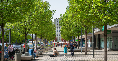 Na zdjęciu ulica Swięty Marcin, widać przechodniów między dwoma szpalerami drzew