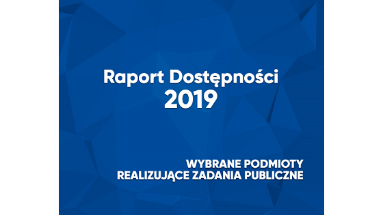 Strona poznan.pl w Raporcie Dostępności 2019