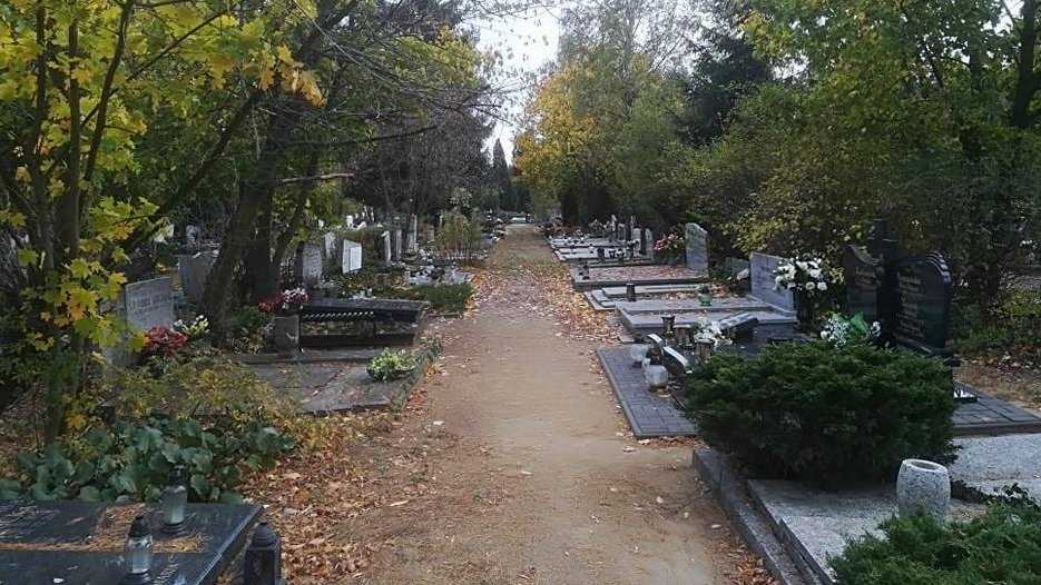 Wyszukiwarka obejmuje najważniejsze cmentarze Poznania