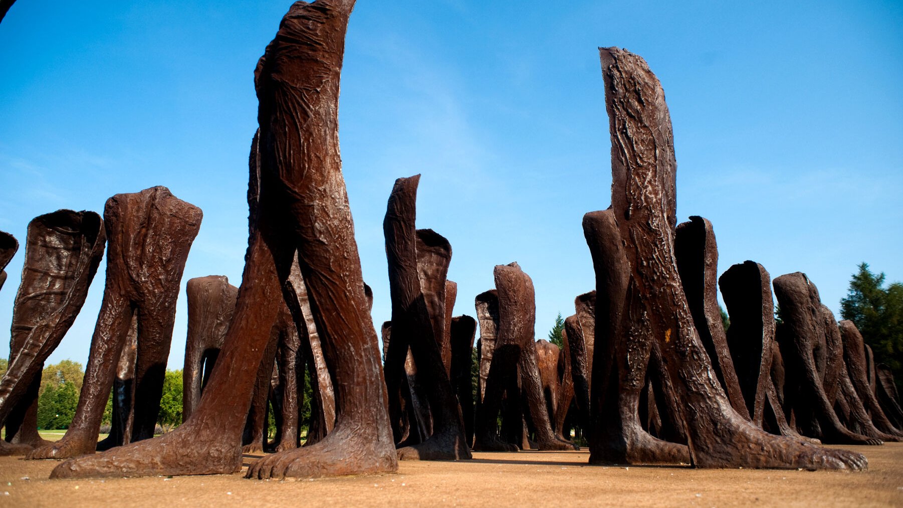 Cytadela, Małgorzata Abakanowicz's sculptures