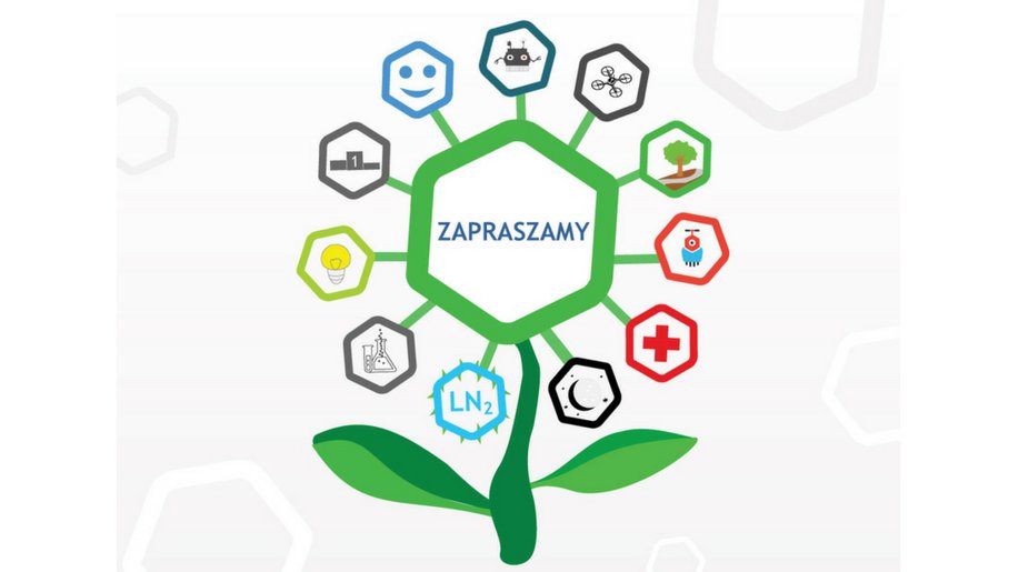 IV Piknik z wyobraźnią
