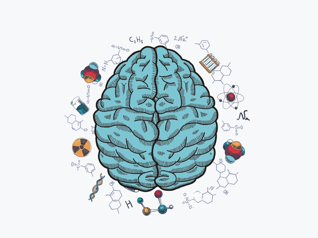 Neurobiologia - są wolne miejsca na studiach - grafika artykułu