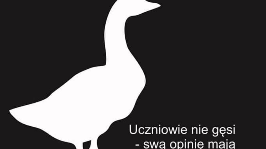 US THE SOCIETY - Uczniowie nie gęsi - swoją opinię mają