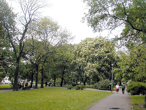 Izabela and Jarogniew Drwęski Park