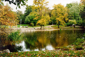 Jesień w Parku Wilsona. Fot. M. Sobczak