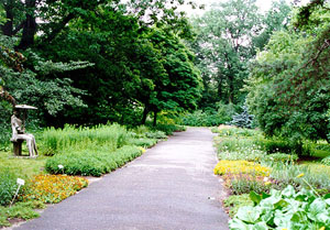 Ogród Botaniczny. Fot. M. Lisiecka