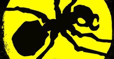 Black ant on a yellow circle. Black background.