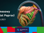 Biznesowy Kwiat Paproci