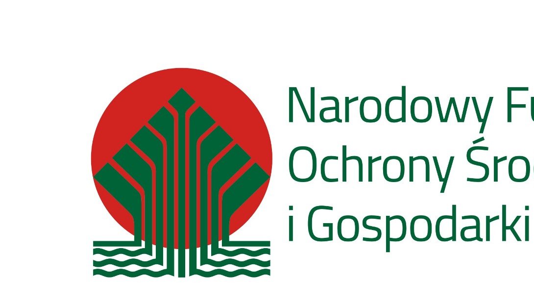 logo NF