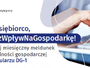 Materiały informacyjne ułatwiające przedsiębiorcom wypełnianie miesięcznego meldunku DG-1 - Ocena bieżącej działalności gospodarczej przedsiębiorstw.