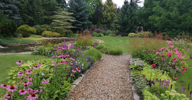 1 miejsce - ogród przydomowy (Rada Osiedla Krzyżowniki-Smochowice ) , na pierwszym planie widać ukwieconą alejkę ogrodową z kolorowymi ,różowymi,fioletowymi i czerwonymi kwiatami, królują fioletowe liatry kłosowe, różowe jeżówki,różowe floksy, zielone rozchodniki wyniosłe, w oddali widać oczko wodne z liliami wodnymi i żurawie jako małe ozdoby ogrodowe ,posąg Buddy i rabaty z krzewów ozdobnych i wyższych roślin iglastych