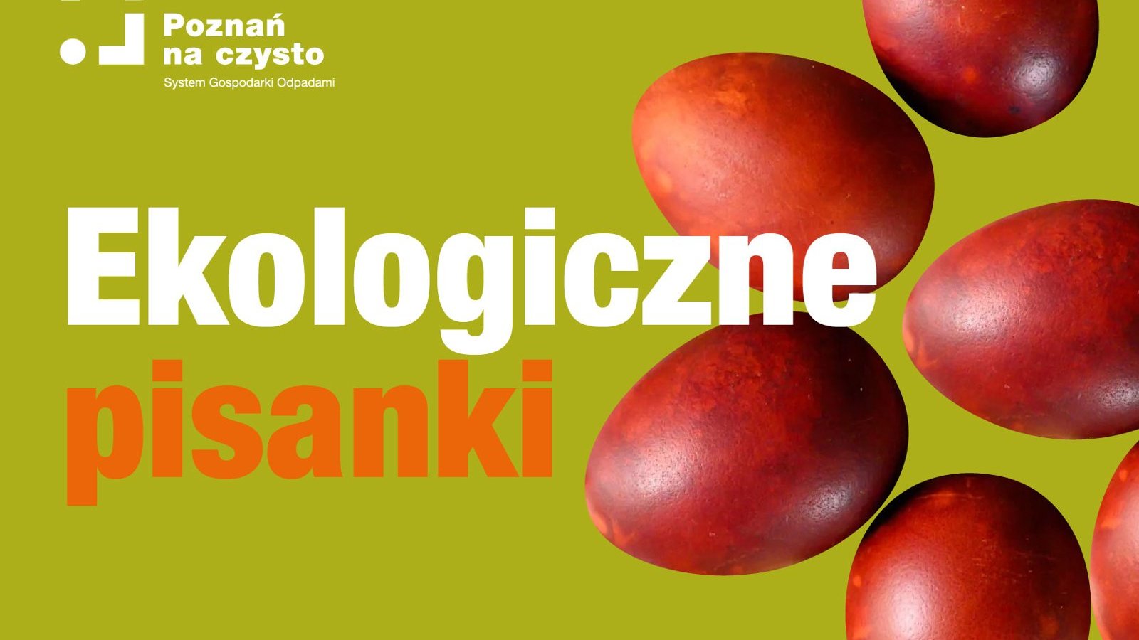 Na zdjęciu widać pięć pokolorwanych jaj. Wokół nich stoją miski z wodą z barwnikami