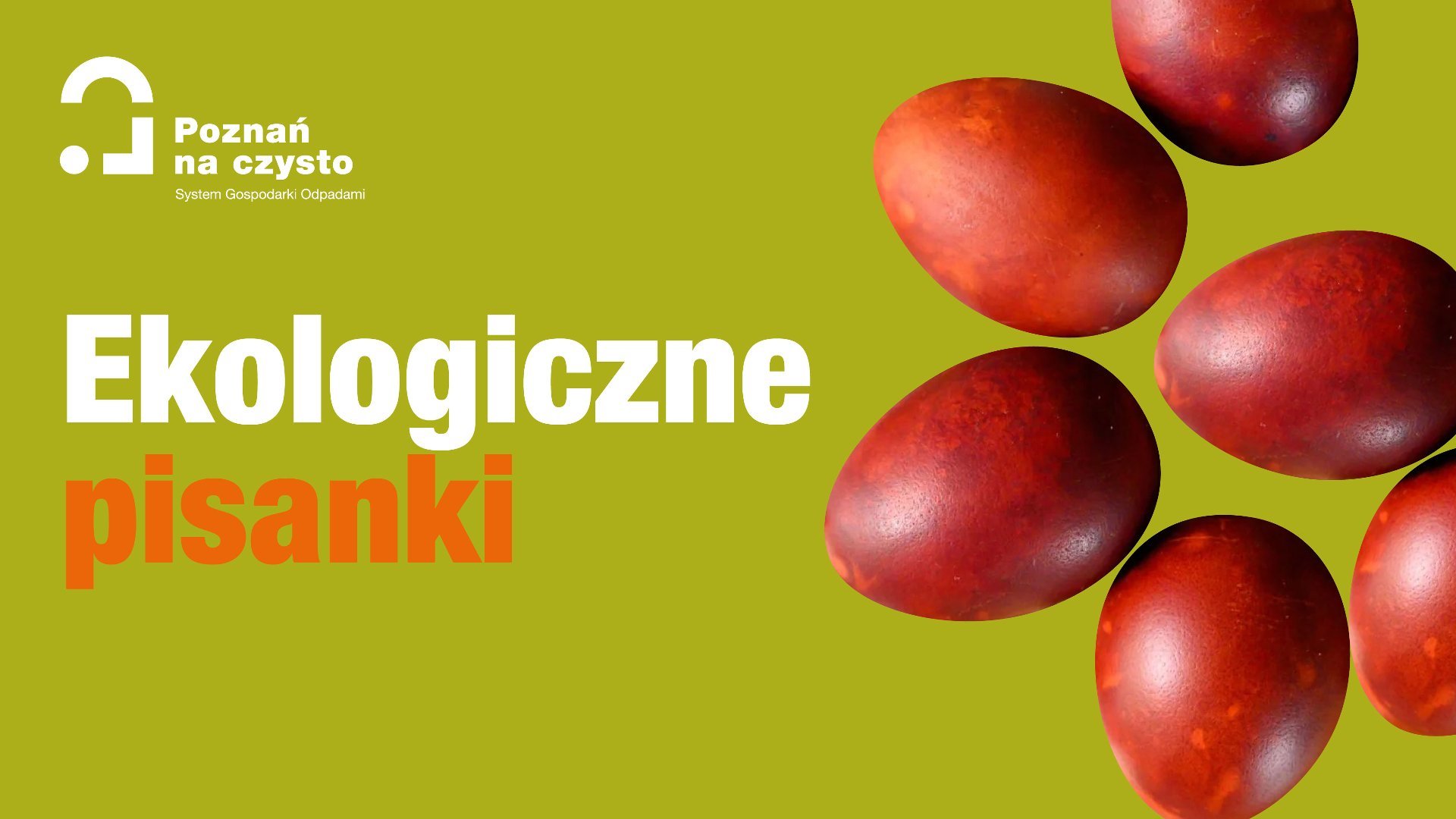 Grafika prezentuje zabarwione jajka świąteczne. Duży napis Ekologiczne pisanki