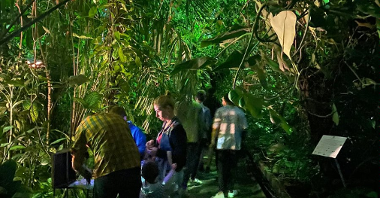 Na zdjęciu wnętrze Palmiarni, wśród roślin alejką idą ludzie.