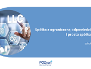 Spółka z ograniczoną odpowiedzialnością i prosta spółka akcyjna