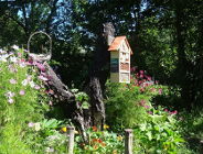 Startuje konkurs "Zielony Poznań"