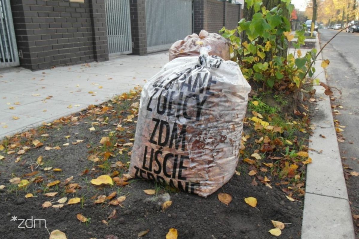 Ruszyła akcja "liść", fot. zdm.poznan.pl Zdjęcie przedstawia worek Zarządu Dróg Miejskich napełniony liścmi stojący na chodniku w pasie drogowym.