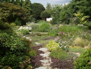 "Zielony Poznań" - znamy laureatów konkursu