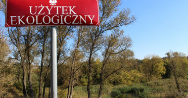 Krajobraz użytku ekologicznego "Łęgi Potoku Różanego"