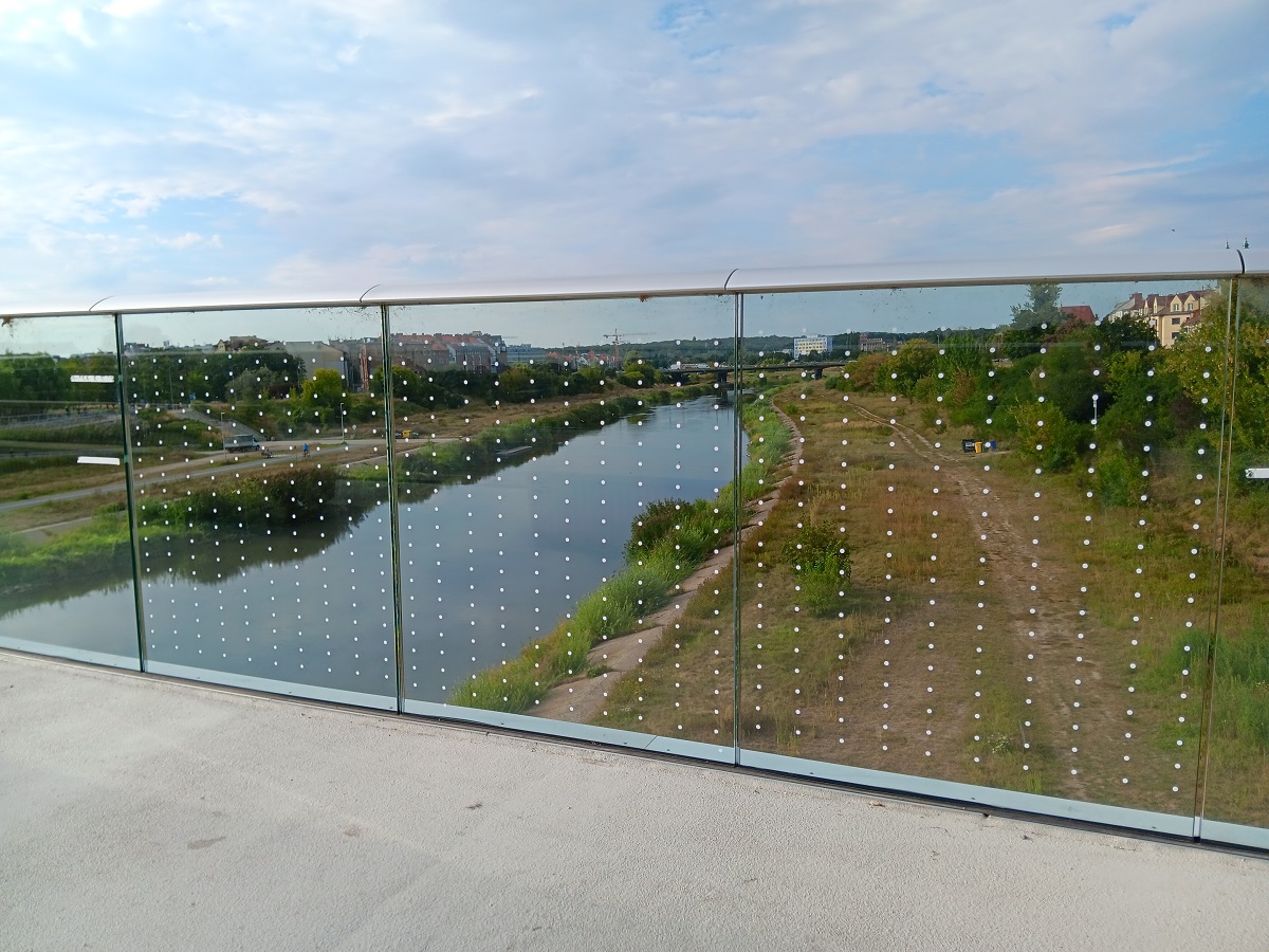 Folia z widocznymi dla ptaków kropkami, naklejona na niektóre fragmenty balustrady mostów Berdychowskich przez aktywistki i aktywistów partii Razem w sierpniu br.