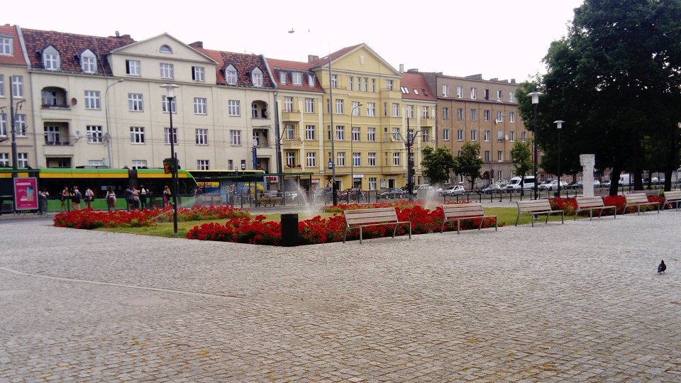 Fot. Zarząd Zieleni Miejskiej
