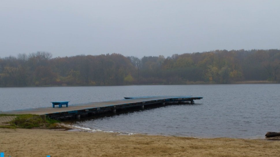 fot. PIM - grafika artykułu
