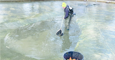 Sprzątanie zbiorników wodnych na Cytadeli, Fot. Zarząd Zieleni Miejskiej