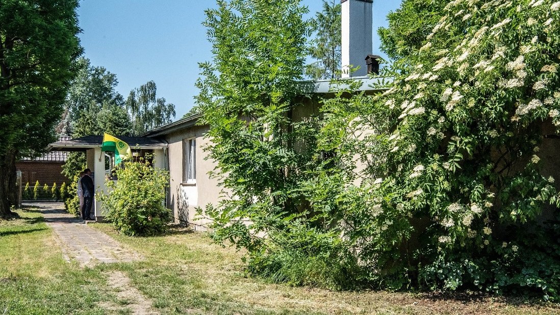 Dużo zieleni, drzewa, krzewy, zarośla, trwaa, z tyłu budynek parterowy, szary