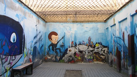 Kolorowy spacerniak (fot. C. Omieljańczyk)