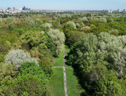 Działania na użytku ekologicznym i wałach przeciwpowodziowych