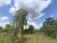 Petycja w sprawie parku-sadu