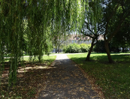 Sytuacja na skwerze im. Ireny Bobowskiej