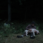 baner