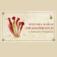 baner rośliny owadożerne