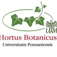 logo Ogrodu