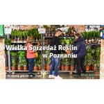Kwiaty doniczkowe na regałach do sprzedaży. Przy kwiatach 3 osoby: mężczyzna i 2 kobiety. Jedna kobieta trzyma mała doniczkę. Druga kobieta najprawdopodobniej podaje doniczkę z kwiatem mężczyźnie..