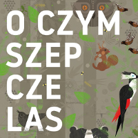 Na szarym plakacie rysunko-wycinanki zwierząt z lasu i nazwa spektaklu.
