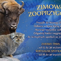 Żubr i kot. Tytuł i czas wydarzenia oraz zasady opisane w artykule.