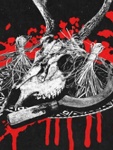 Graphics promoting the concert