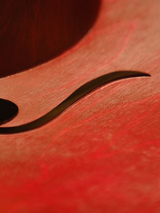 Na obrazku widać środkową część instrumentu przypominającego skrzypce.