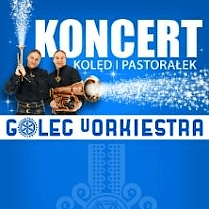 Niebieskie tło i napis z nazwą koncertu i zespołu.