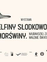 Na różowym tle wizerunek morświna.