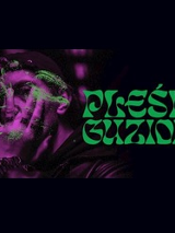 Nazwa wydarzenia i zdjęcie artysty.